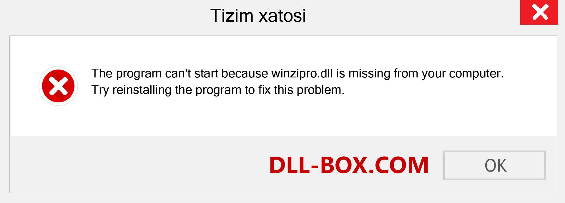 winzipro.dll fayli yo'qolganmi?. Windows 7, 8, 10 uchun yuklab olish - Windowsda winzipro dll etishmayotgan xatoni tuzating, rasmlar, rasmlar